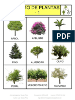 Bingo de Plantas Fotos