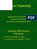 Action Potential