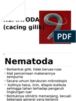 Presentationnematoda 130114221630 Phpapp02