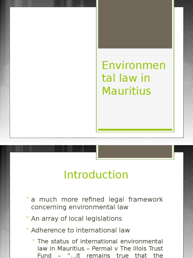 Environmental Law in Mauritius PDF Environmental Impact Assessment