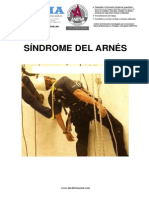 1 Sindrome Del Arnes PDF