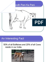 Indian Dairy Industry