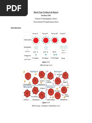 43+ Blood Typing Experiment Lab Report Pdf Background