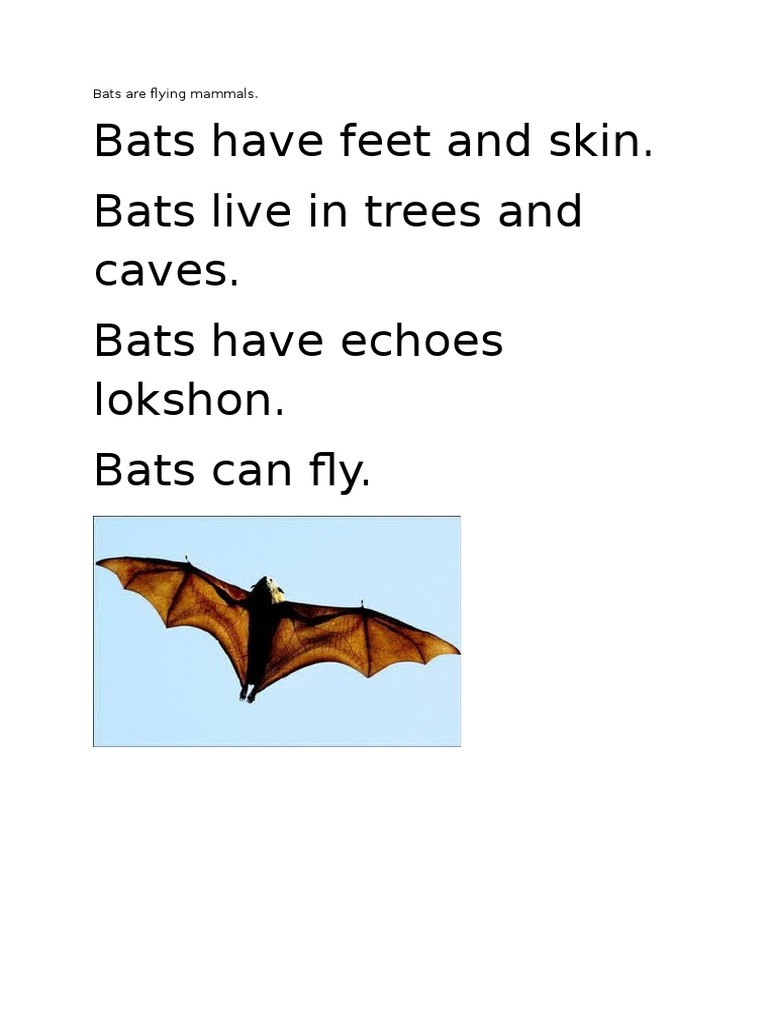 Overview of Bats: Characteristics and Habitat | PDF | Science & Mathematics