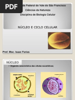 Aula Ciclo Celular DNA