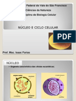 Aula Ciclo Celular DNA