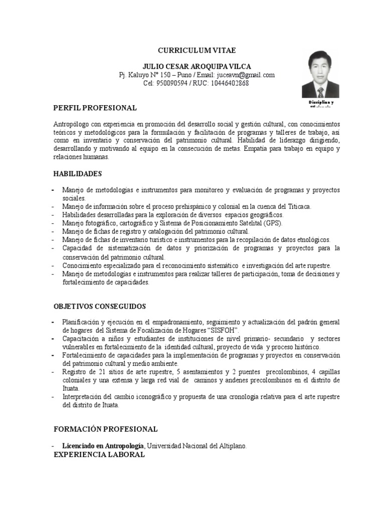 Curriculum vitae format in word picture