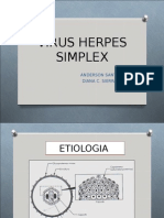 Virus Herpes Simple