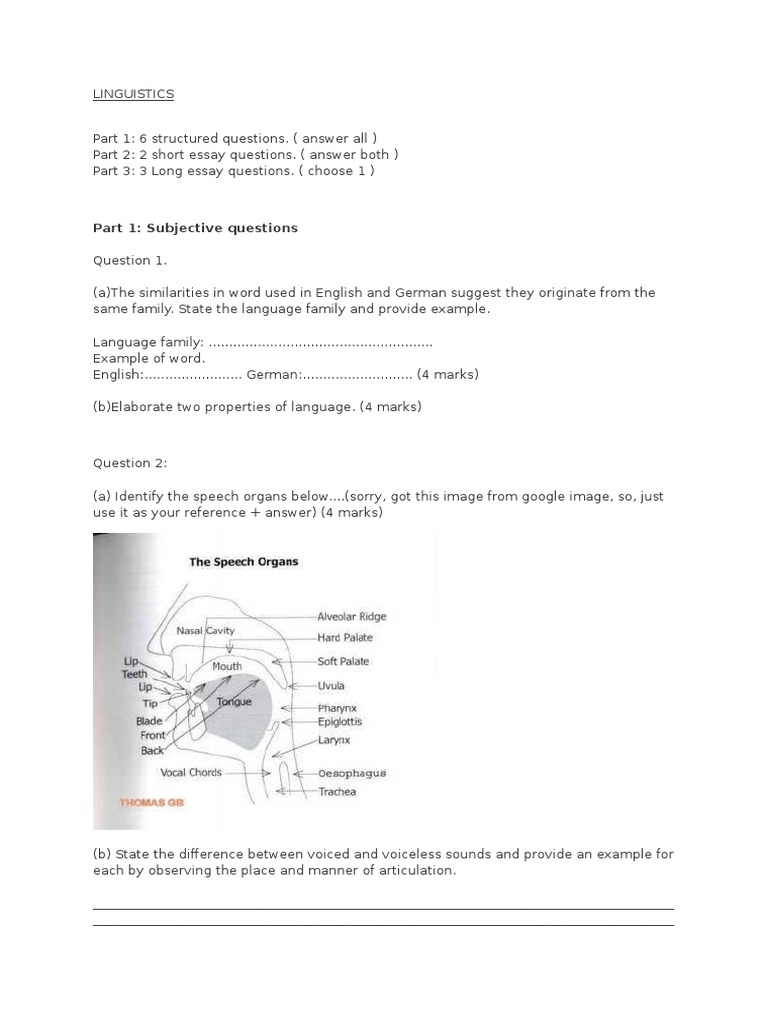 Part 1: Subjective Questions | PDF | Language Arts & Discipline