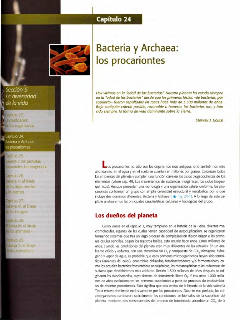 Curtis Biologia Cap. 24 Procariotas | PDF | Archaea | Las bacterias