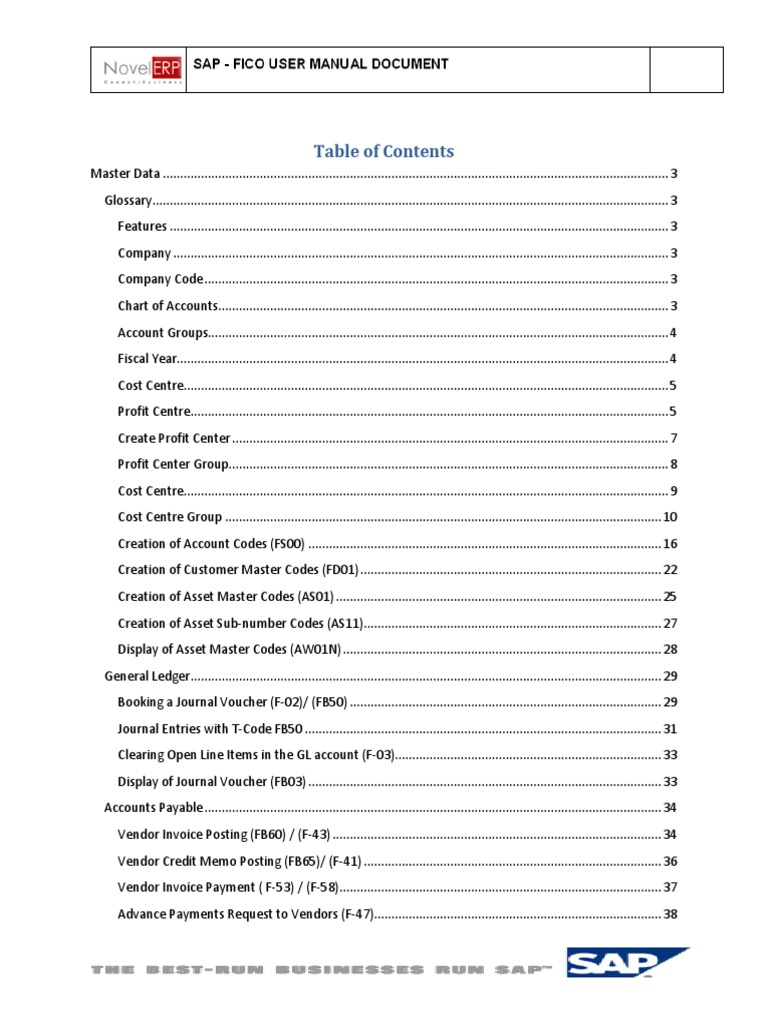 SAP FI User Manual Overview | PDF