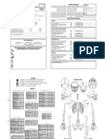 Ficha Inventario Óseo