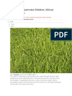 An Urban Wastewater Solution- vetiver grass.pdf