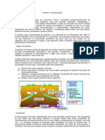 processos produtivos