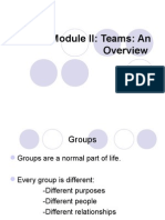 Teams: An Overview of Groups, Characteristics, and Roles