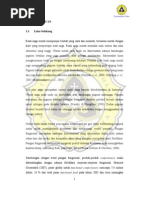 Download Buah Naga Merah Dan Ubi Ungu by putrimeilissa SN260858267 doc pdf