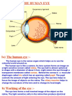 Optics Presentation with example