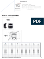 Etansare Pentru Piston PDE PDF