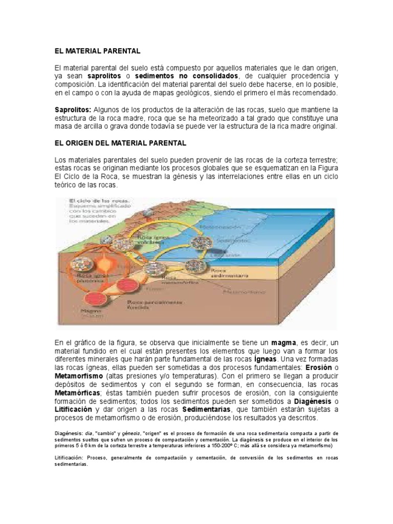 El Material Parental