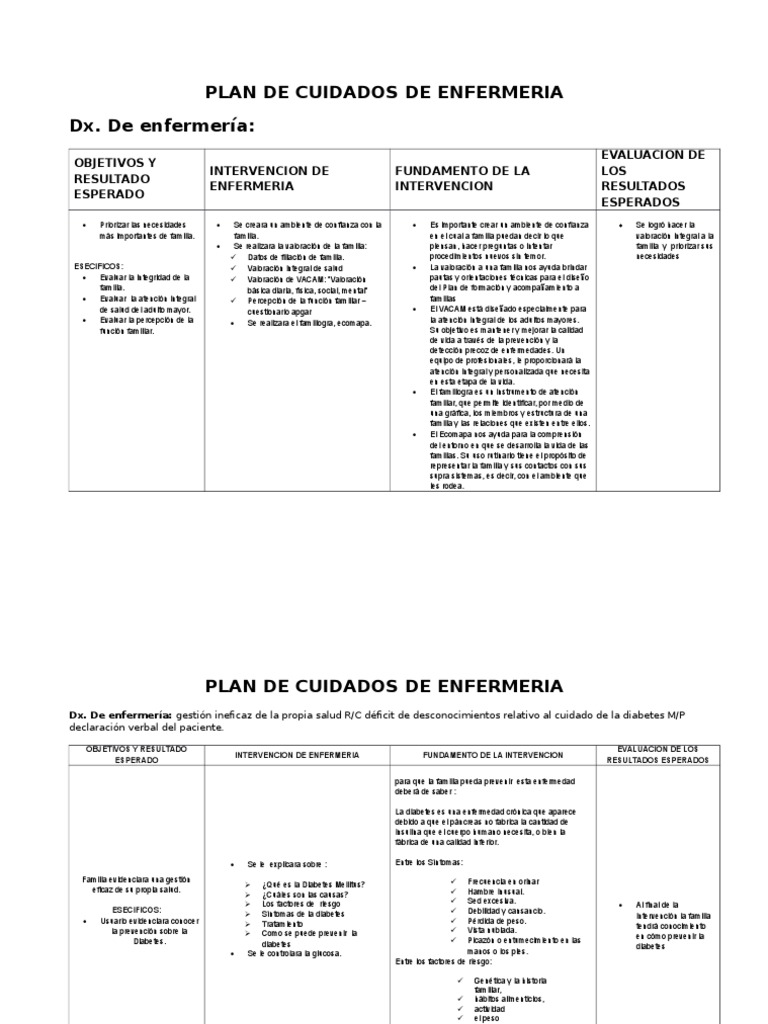 Plan de Cuidados de Enfermería Integral | PDF | Nutrición | Dieta y ...
