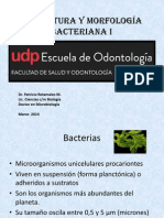 Estructura y Morfología Bacteriana I