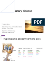 Pituitary disease and hormone axes