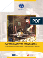 Emprendimiento Economicos