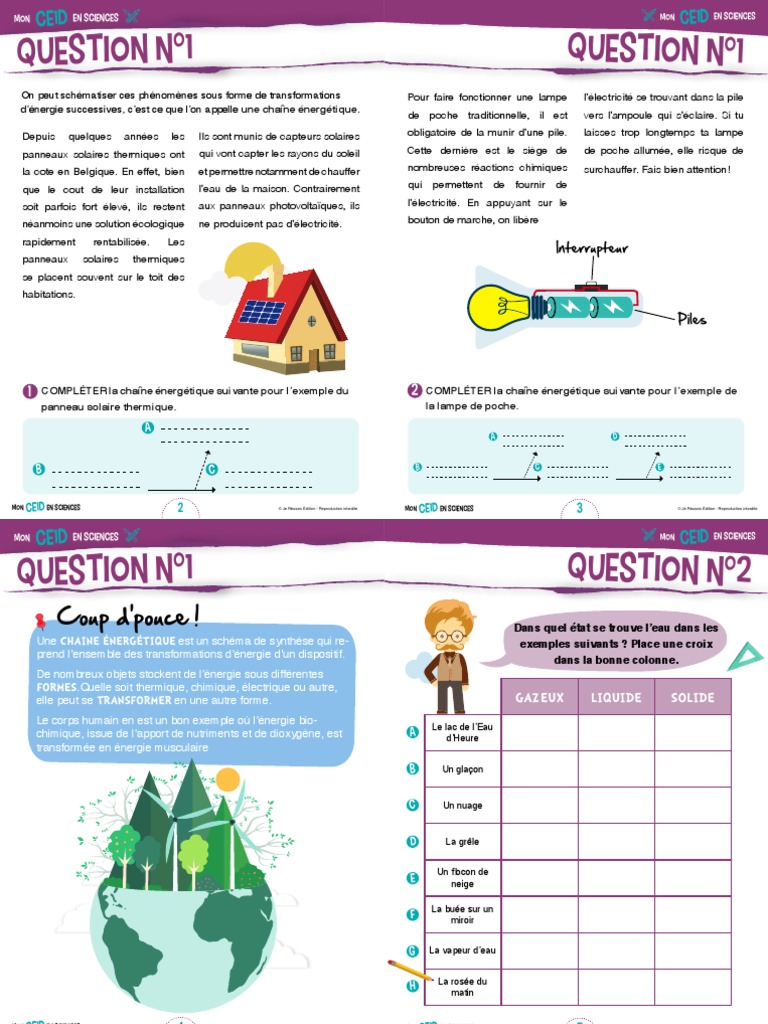 CE1D Sciences | Sang | Reproduction humaine