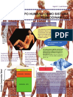 El Cuerpo Humano Como Sistema Termodinamico