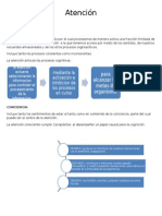 La atención como constructo psicológico que selecciona la información