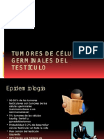 Tumores de Testiculo