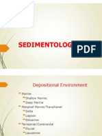 Depositional Environment