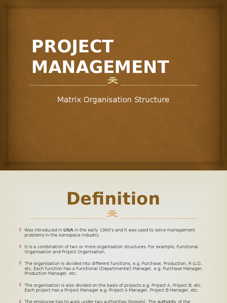 PROJECT MANAGEMENT - Matrix Organisation Structure | PDF | Motivation