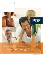 Understanding Stress PDF