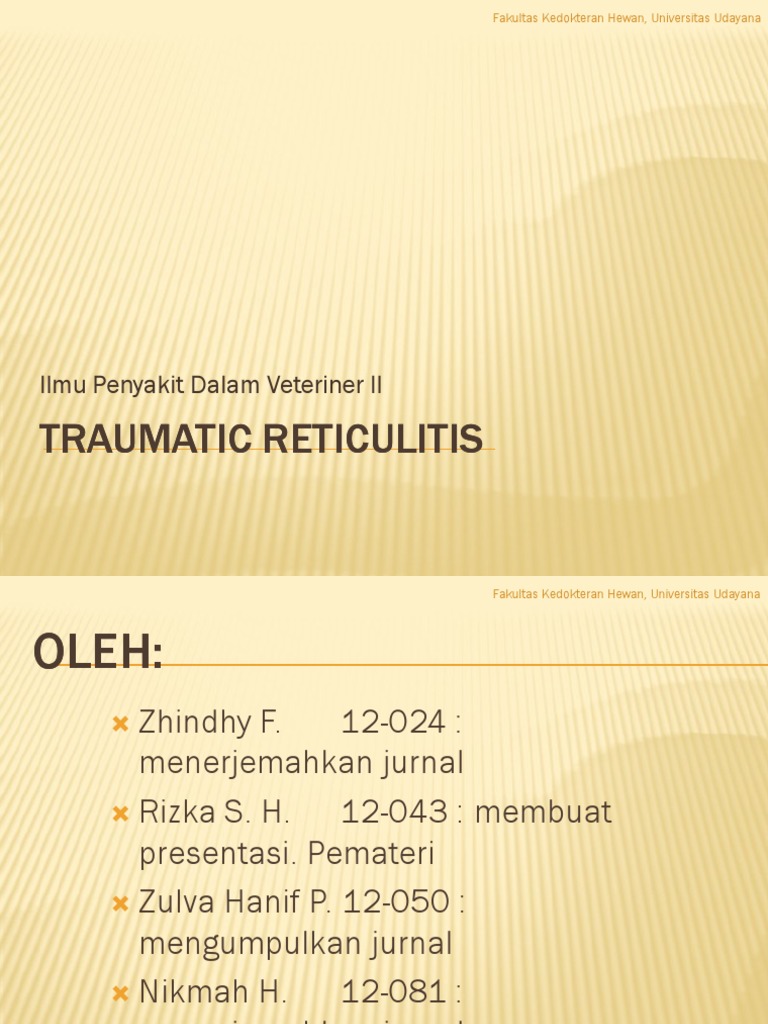 Traumatic Reticulitis pada Ruminansia | PDF
