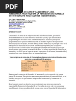 Caolinizacion de La Cascarilla de Arroz