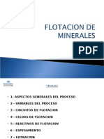 Flotacion de Minerales