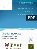 Gradja Insekata