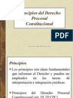 3 Principios Del Derecho Procesal Constitucional