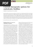 Current Therapeutic Options for Endodontic Biofilms