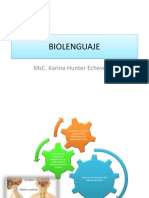 1 Medula Espinal PDF