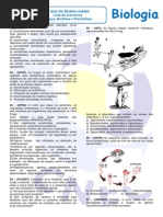Lista Exercicios Fungos Briofitas e Pteridofitas (1)