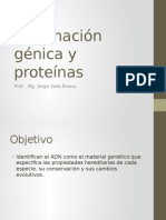 145916065-Informacion-genica-y-proteinas.pptx
