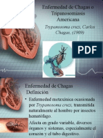 Enfermedad de Chagas o Tripanosomiasis Americana.