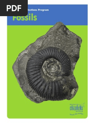 fossils fin hr