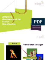 Amylase Development For Starch Liquefaction: Carsten Andersen Novozymes R&D