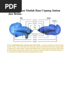 Download Membedakan Mudah Ikan Cupang Jantan Dan Betina by AdeKurniawan SN260988072 doc pdf