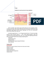 anatomi dan fisiologi kulit