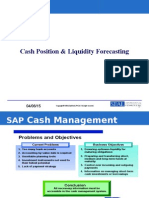 Cash Management & Liquidity Forecast