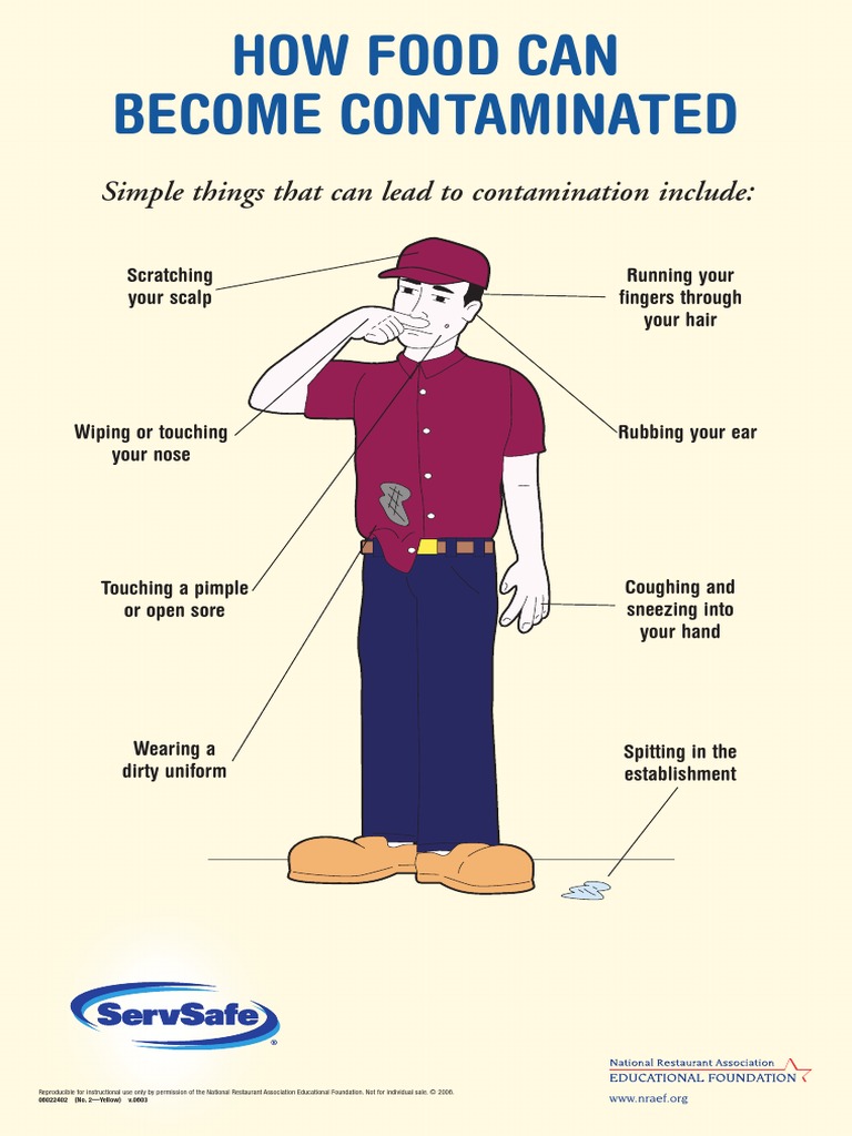 How Food Can Become Contaminated-Poster | PDF